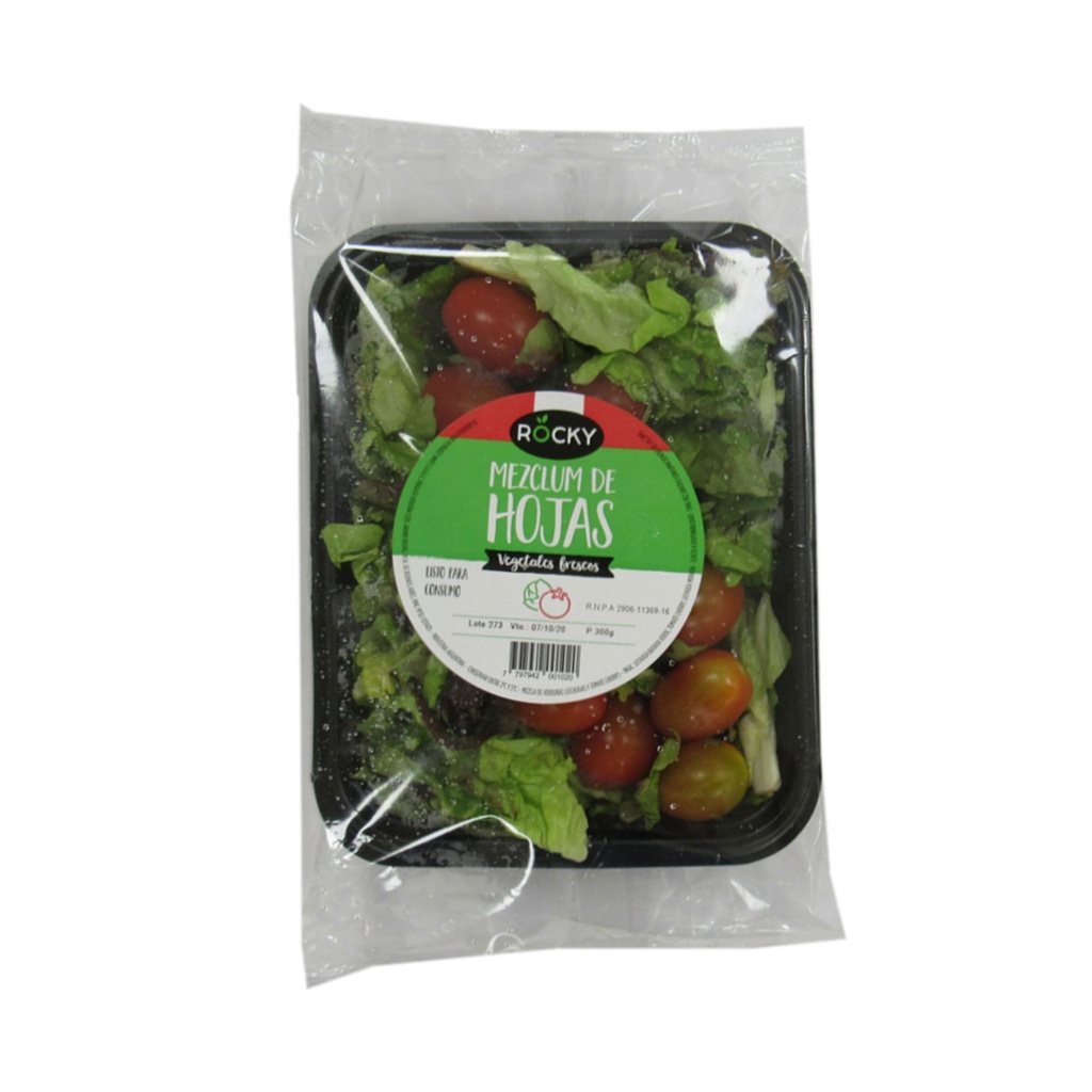 ENSALADA MEZCLUM CON CHERRY 300g      