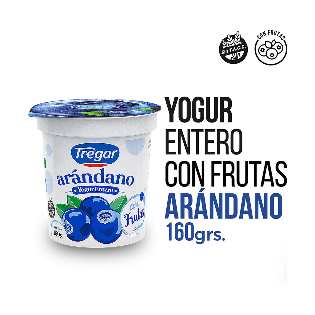 YOGUR ENTERO FIRME C/ARANDANOS TREGAR 160g