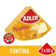 QUESO FUNDIDO FONTINA ADLER 100g